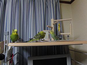 f0196665_23553630.jpg