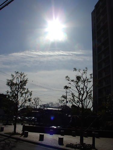 f0166066_1056167.jpg