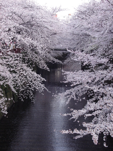 f0168867_9121771.jpg