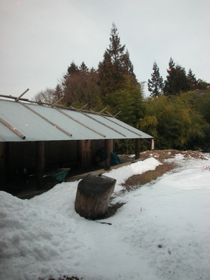 c0166668_0251027.jpg