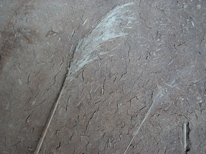 c0166668_025235.jpg