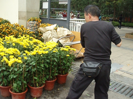 b0092475_20112254.jpg