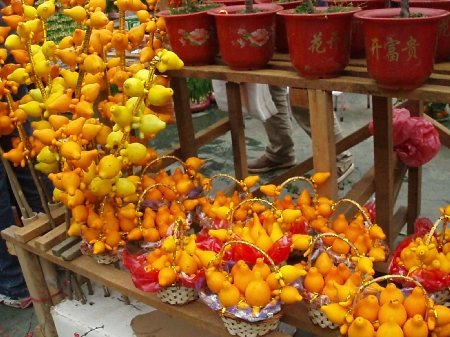 b0092475_20113875.jpg