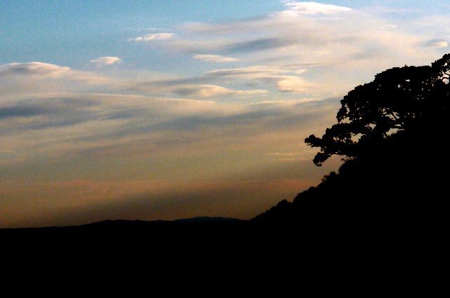 e0022175_2292544.jpg