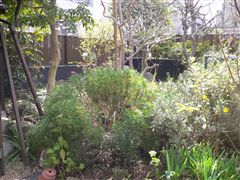 f0001378_21194895.jpg