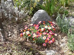 f0001378_21201129.jpg