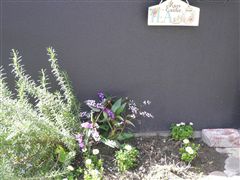 f0001378_21203738.jpg