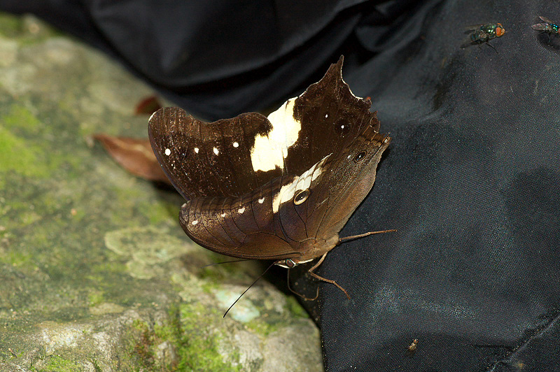 f0090680_2059394.jpg