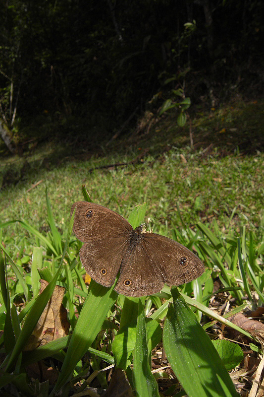 f0090680_2105999.jpg