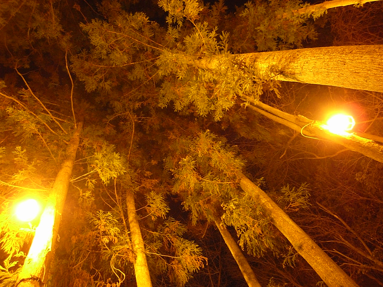 f0146989_22244730.jpg
