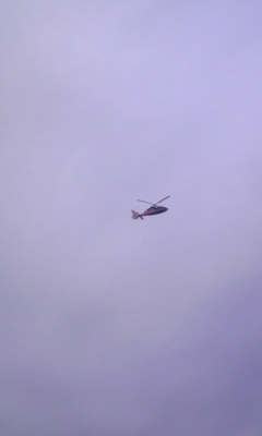 e0176191_2233136.jpg