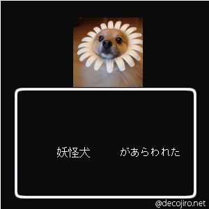 f0194591_20394843.gif