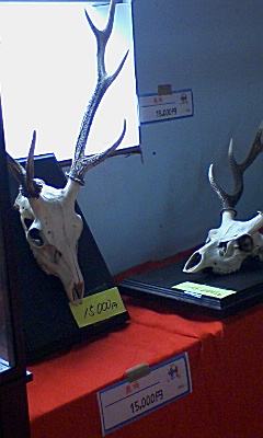 e0015100_1712971.jpg
