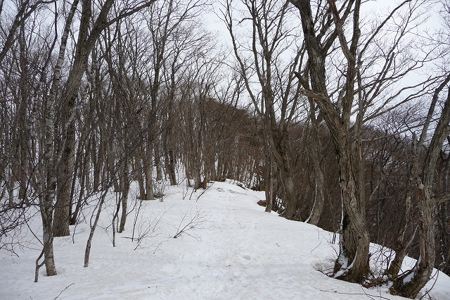 e0137200_22224412.jpg