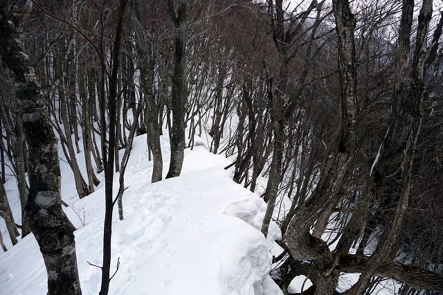 e0137200_2230880.jpg