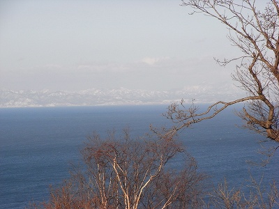 f0157901_20381078.jpg