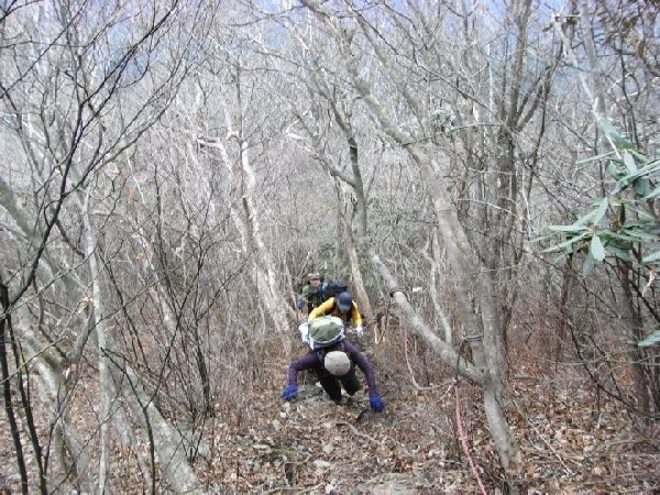 f0187402_21531147.jpg
