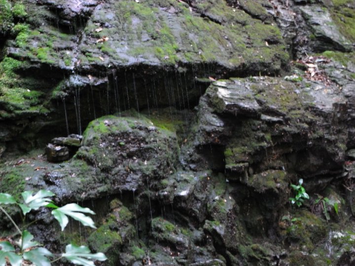 f0187402_21543658.jpg