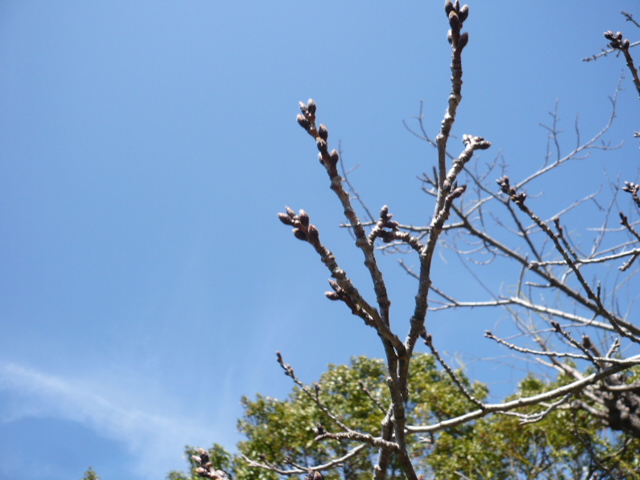 f0185804_84488.jpg