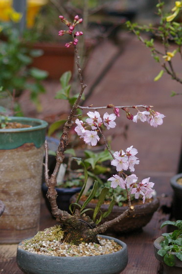 b0052108_1131511.jpg