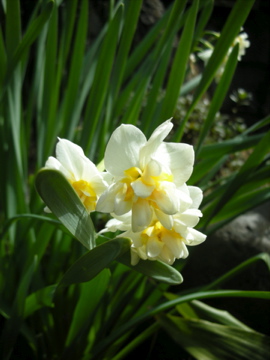 c0145209_23555150.jpg