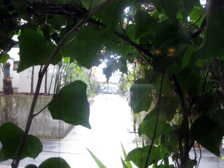 b0006210_18463026.jpg