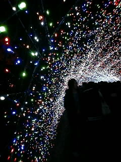 b0021311_22583237.jpg