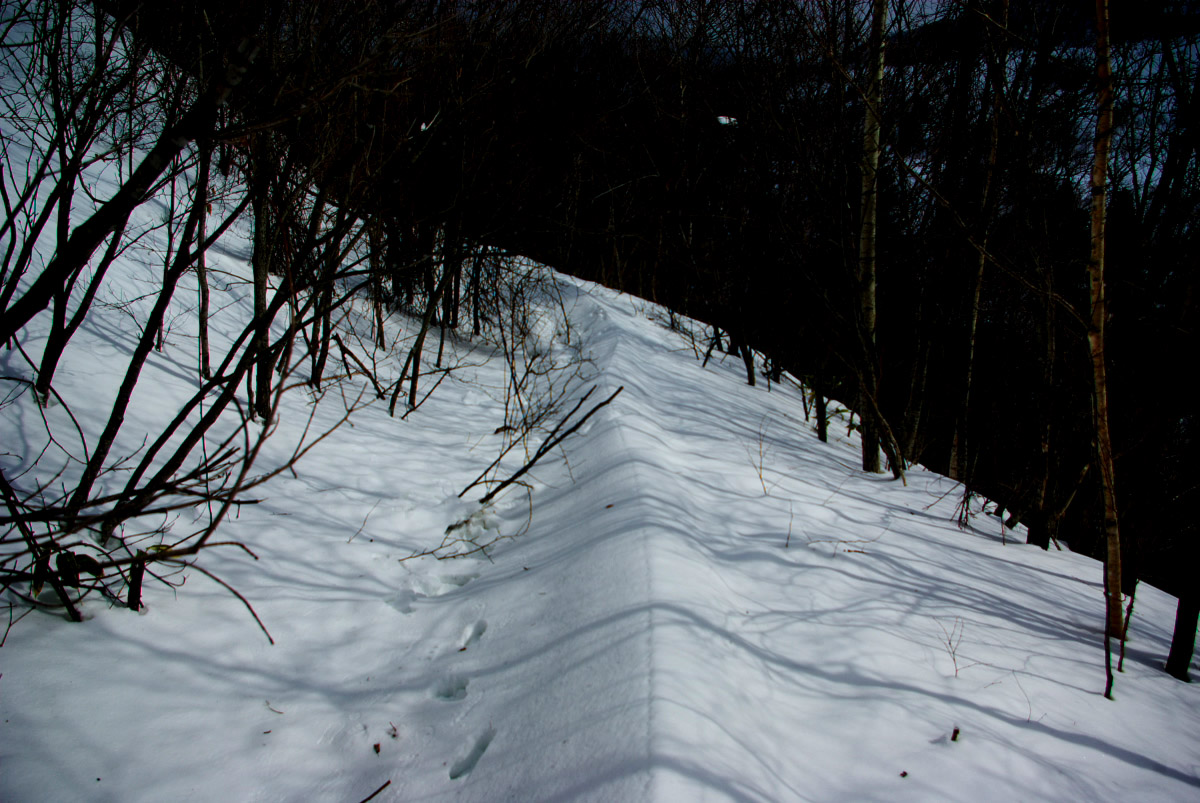 e0142611_11152098.jpg