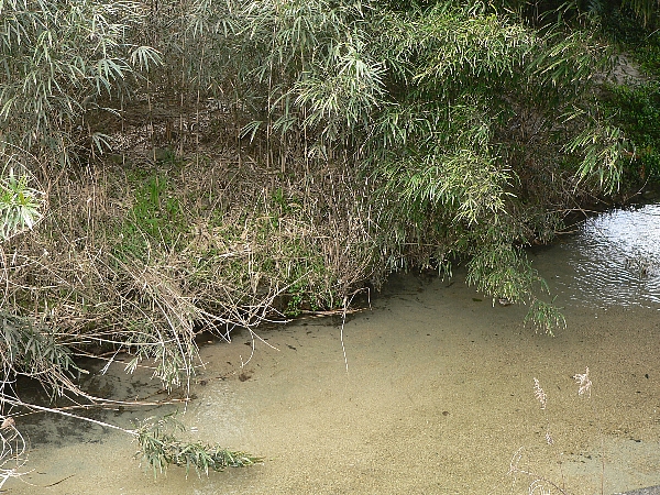 e0002314_19362065.jpg
