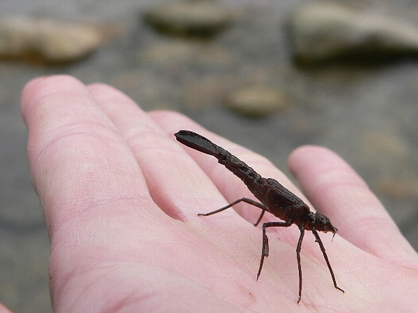 e0002314_1939961.jpg