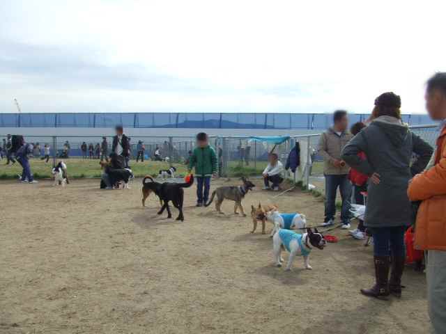 f0090117_1852228.jpg