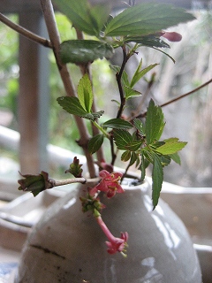 f0139520_9551335.jpg