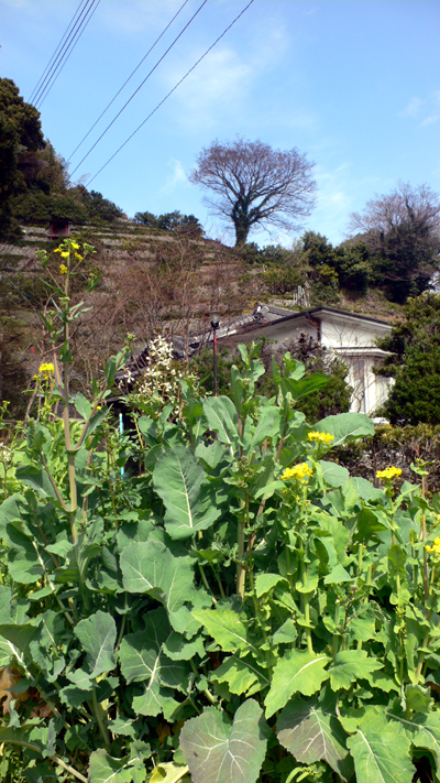 f0060424_1240957.jpg