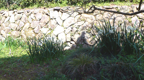 f0060424_12441775.jpg