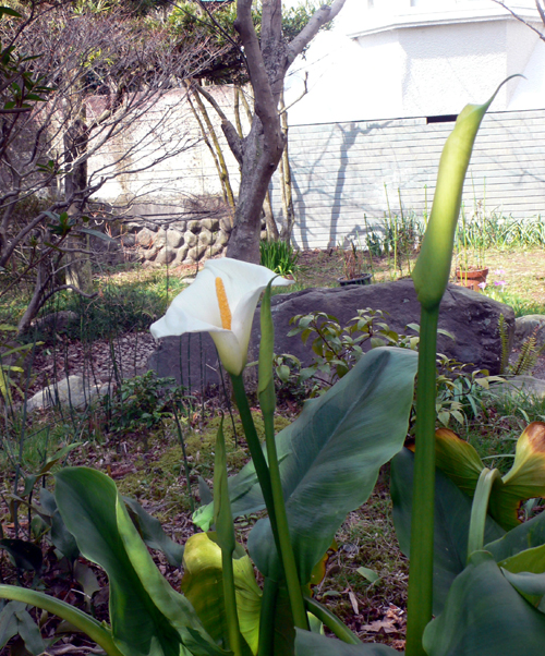 f0060424_1245373.jpg