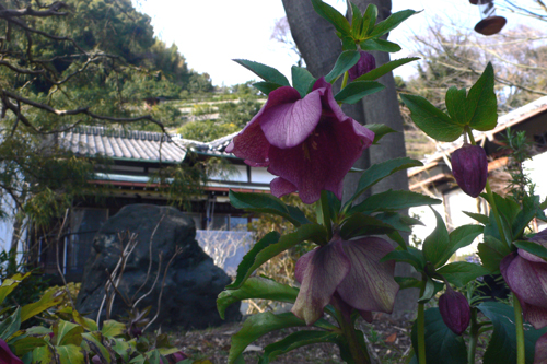 f0060424_15184958.jpg