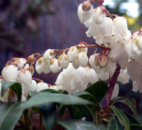 f0060424_15201464.jpg