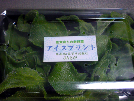 c0117831_2012125.jpg
