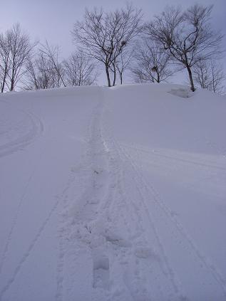 f0118332_23163737.jpg