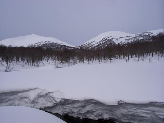 f0118332_2332445.jpg