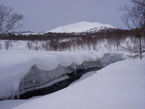f0118332_2363899.jpg