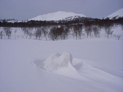 f0118332_2394450.jpg