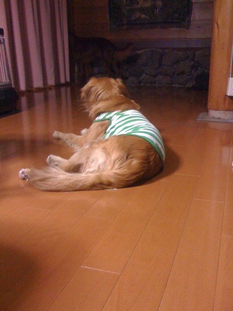 f0039538_231168.jpg