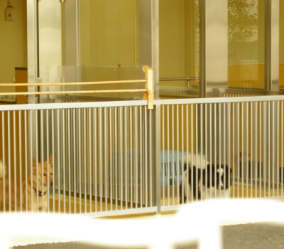 e0105839_13464679.jpg