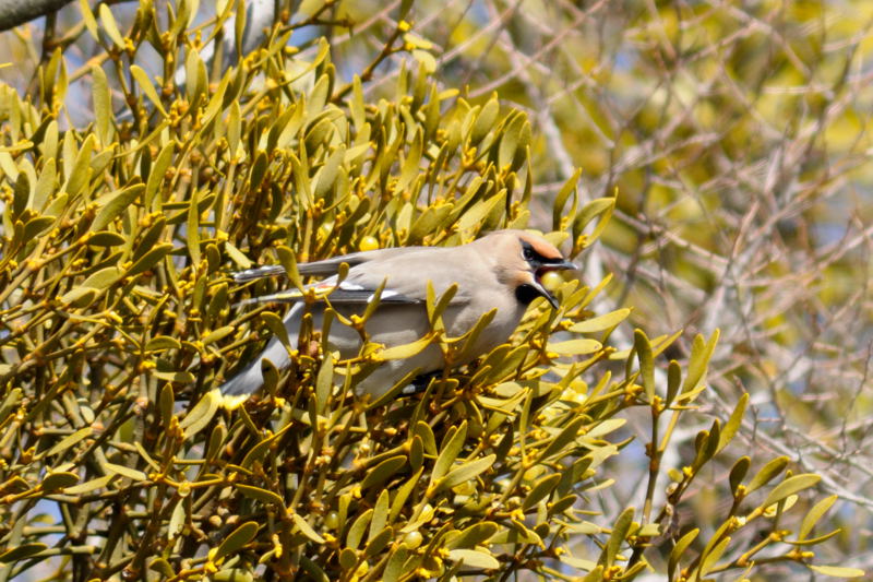 b0036743_2155713.jpg