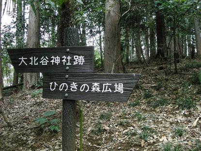 f0107145_23592455.jpg