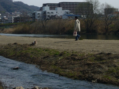 e0100046_1542180.jpg
