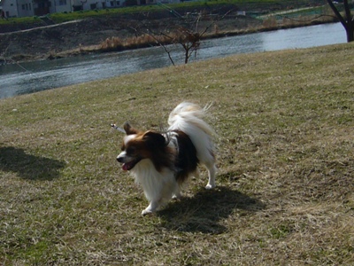 e0100046_1542451.jpg