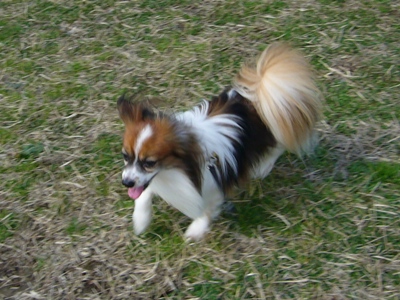 e0100046_15434090.jpg