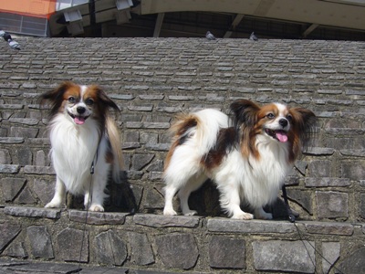 e0100046_15513426.jpg